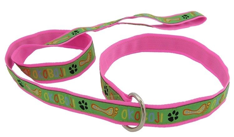 Pet Slip Leash – SwagWorx